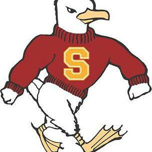 salisbury-university-sea-gulls-logo