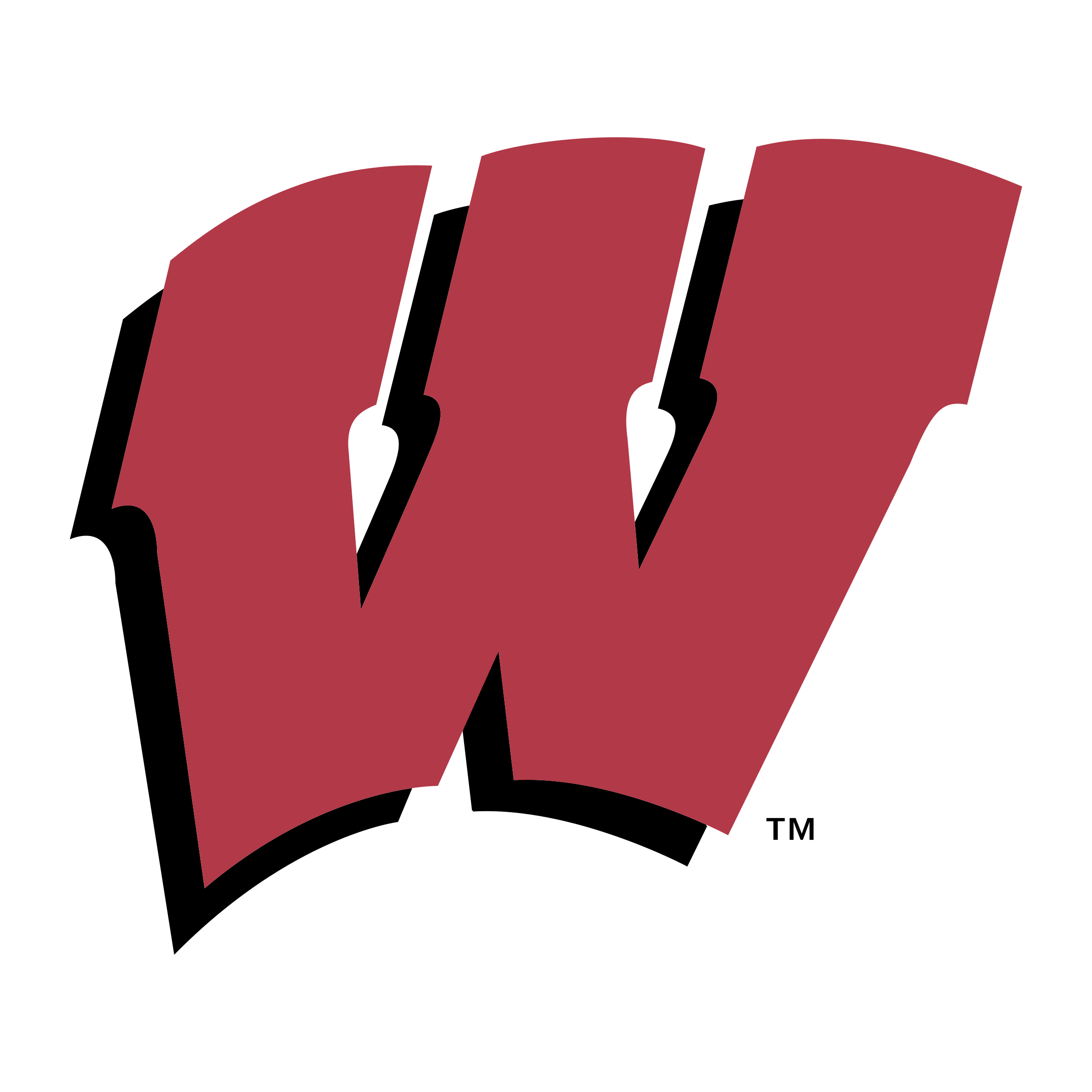 wisconsin-badgers-logo-png-transparent